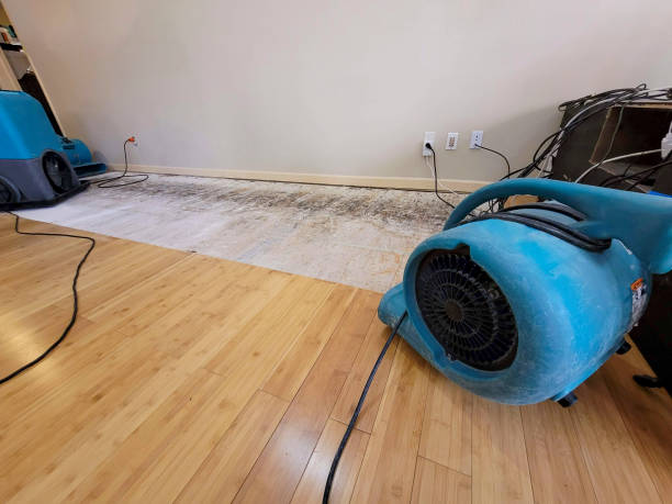Professional Flood Damage Cleanup technician working in Saint Benedict, LA